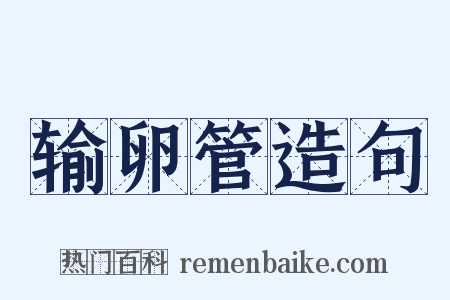输卵管造句是什么意思的图片